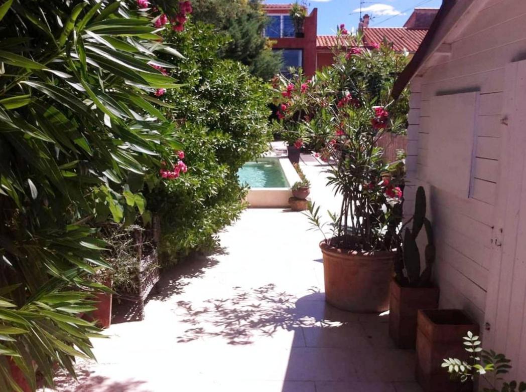 Soleil Bleu Otel Sorède Dış mekan fotoğraf