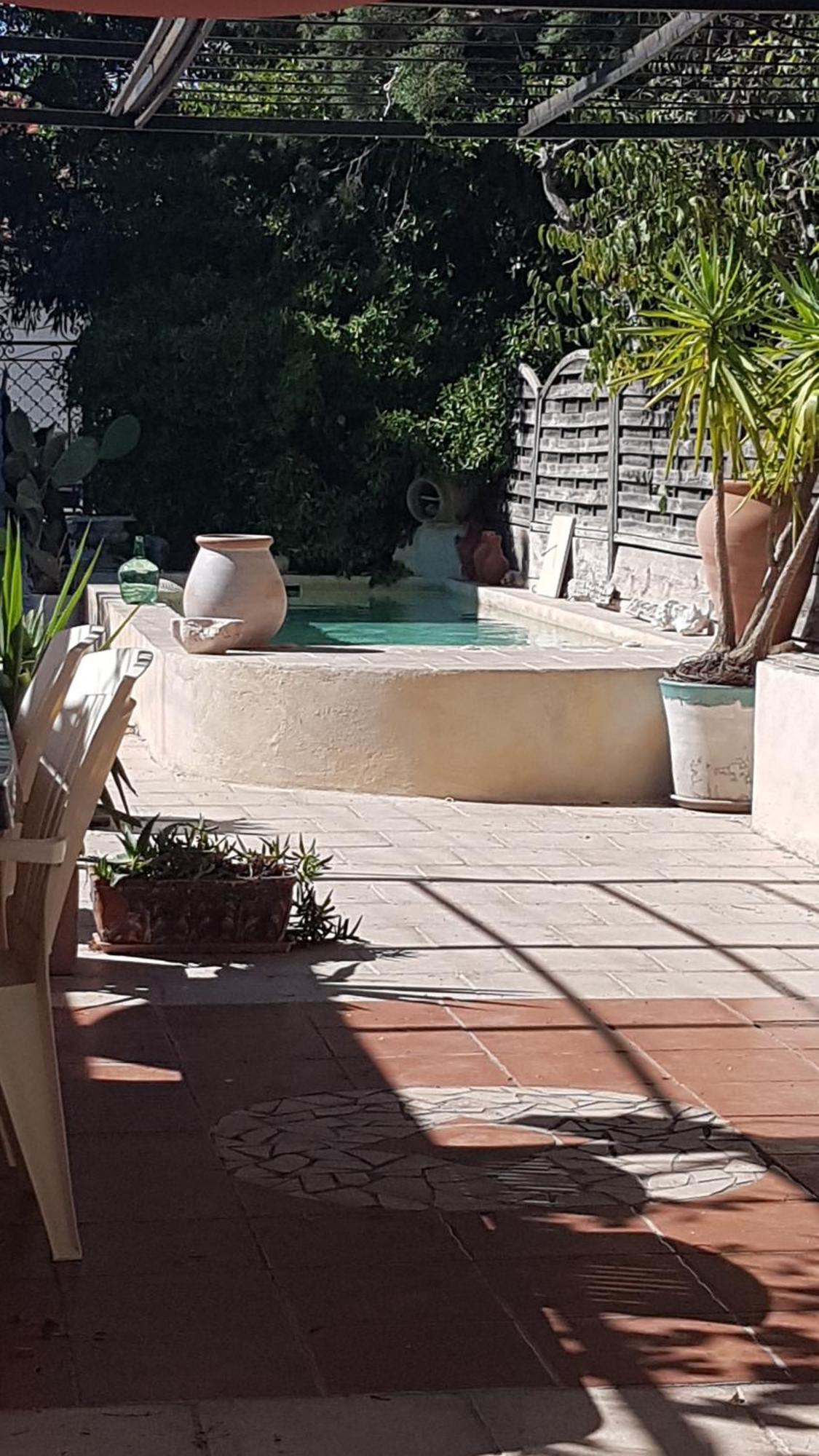 Soleil Bleu Otel Sorède Dış mekan fotoğraf