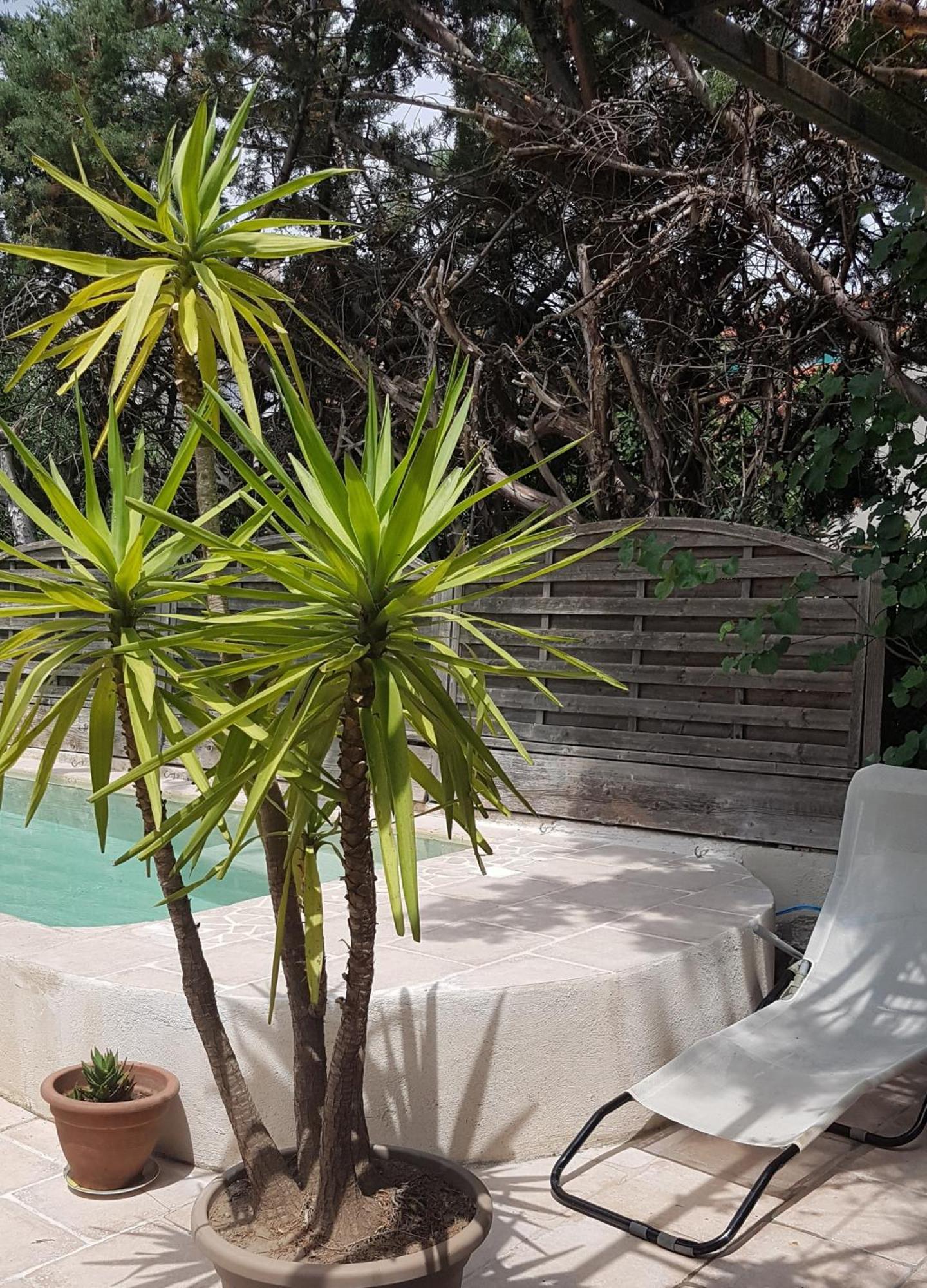 Soleil Bleu Otel Sorède Dış mekan fotoğraf